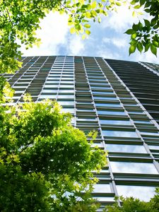 Preview wallpaper building, windows, trees, bottom view