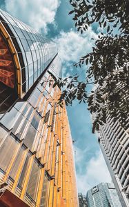 Preview wallpaper buildings, architecture, branches, leaves, bottom view