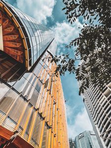 Preview wallpaper buildings, architecture, branches, leaves, bottom view