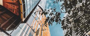 Preview wallpaper buildings, architecture, branches, leaves, bottom view