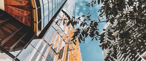 Preview wallpaper buildings, architecture, branches, leaves, bottom view