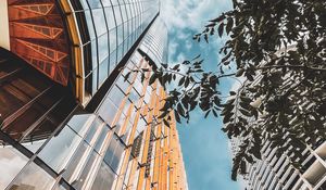 Preview wallpaper buildings, architecture, branches, leaves, bottom view