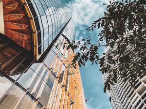 Preview wallpaper buildings, architecture, branches, leaves, bottom view