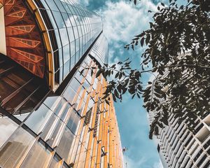 Preview wallpaper buildings, architecture, branches, leaves, bottom view