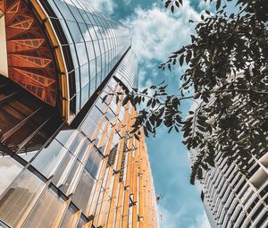 Preview wallpaper buildings, architecture, branches, leaves, bottom view