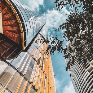 Preview wallpaper buildings, architecture, branches, leaves, bottom view