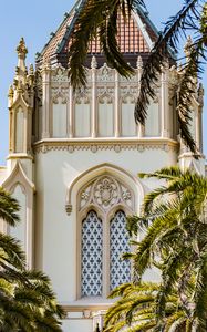 Preview wallpaper buildings, architecture, facade, branch, palm trees