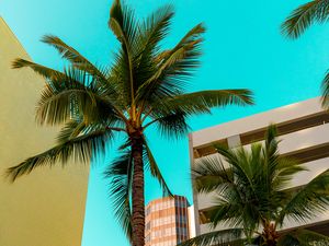 Preview wallpaper buildings, architecture, palm trees, tropics