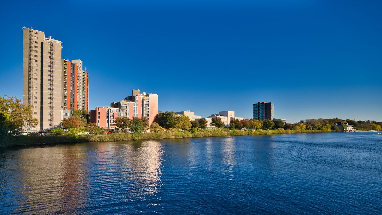 Wallpaper buildings, architecture, trees, lake, water