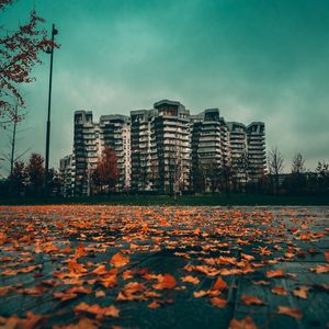 Preview wallpaper buildings, city, autumn, leaves