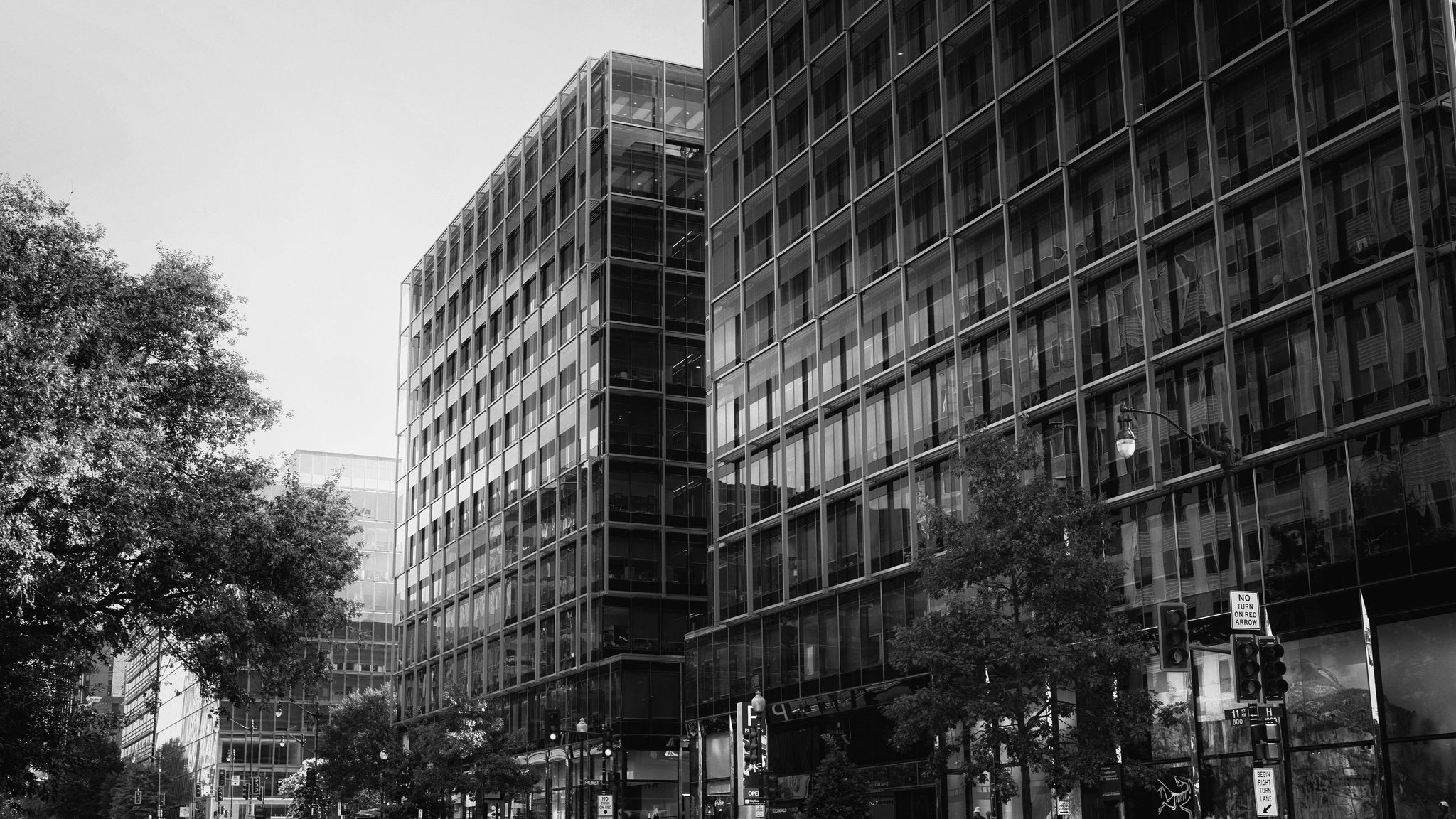 2048x1152 Wallpaper buildings, city, car, trees, street, bw