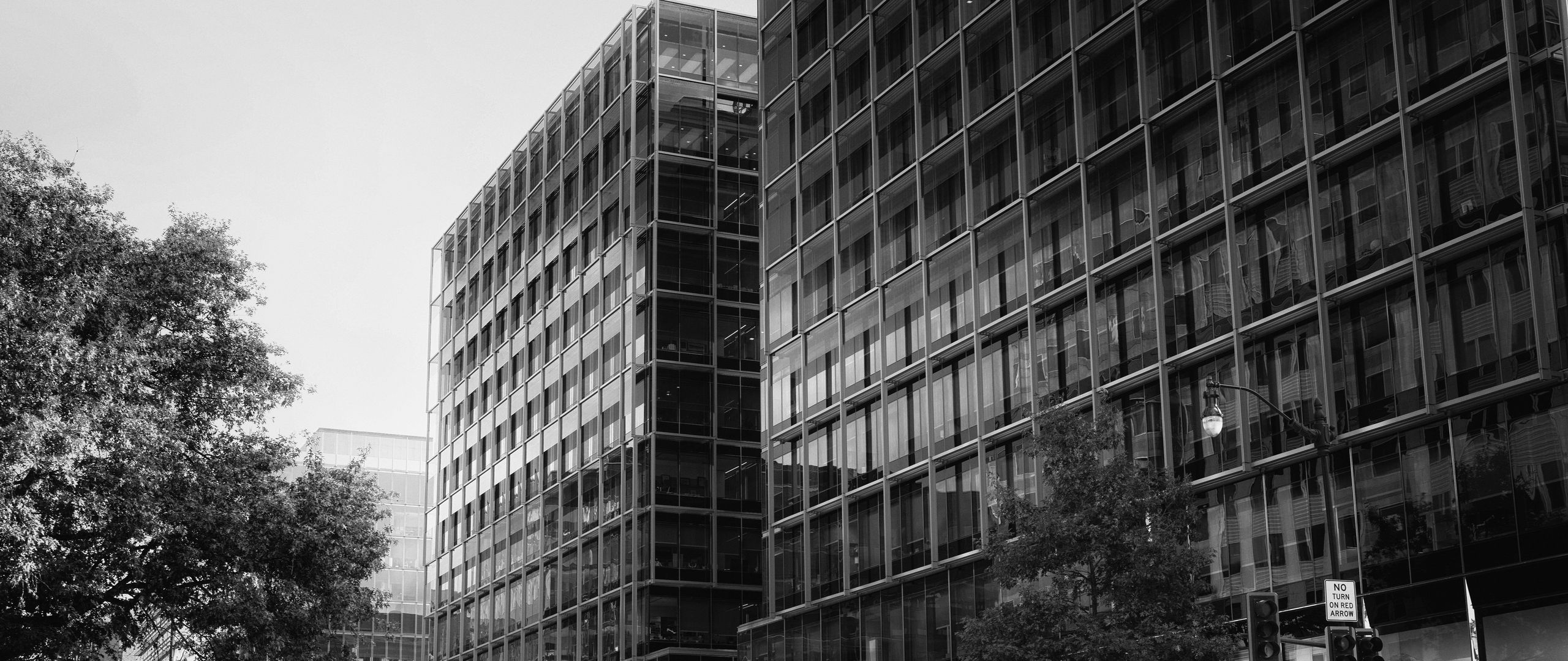 2560x1080 Wallpaper buildings, city, car, trees, street, bw