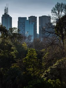 Preview wallpaper buildings, city, skyscrapers, trees
