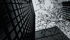 Preview wallpaper buildings, facades, skyscrapers, architecture, trees, branches