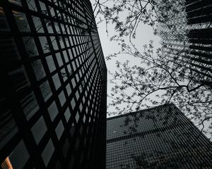 Preview wallpaper buildings, facades, skyscrapers, architecture, trees, branches