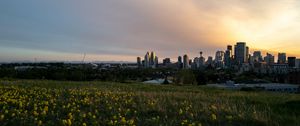 Preview wallpaper buildings, flowers, field, city, dark