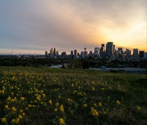 Preview wallpaper buildings, flowers, field, city, dark