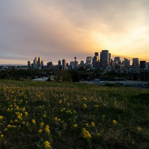 Preview wallpaper buildings, flowers, field, city, dark