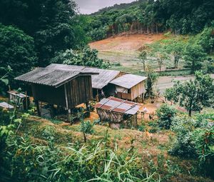 Preview wallpaper buildings, forest, trees