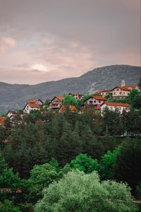 Preview wallpaper buildings, hill, trees, sky