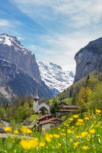 Preview wallpaper buildings, houses, mountains, flowers, trees, valley