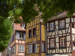 Preview wallpaper buildings, lantern, street, trees, city, architecture