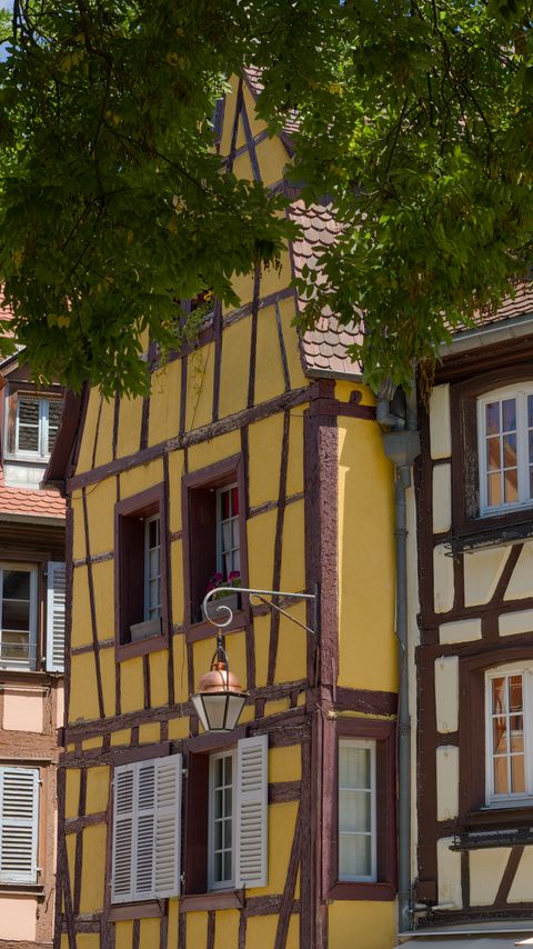 480x854 Wallpaper buildings, lantern, street, trees, city, architecture