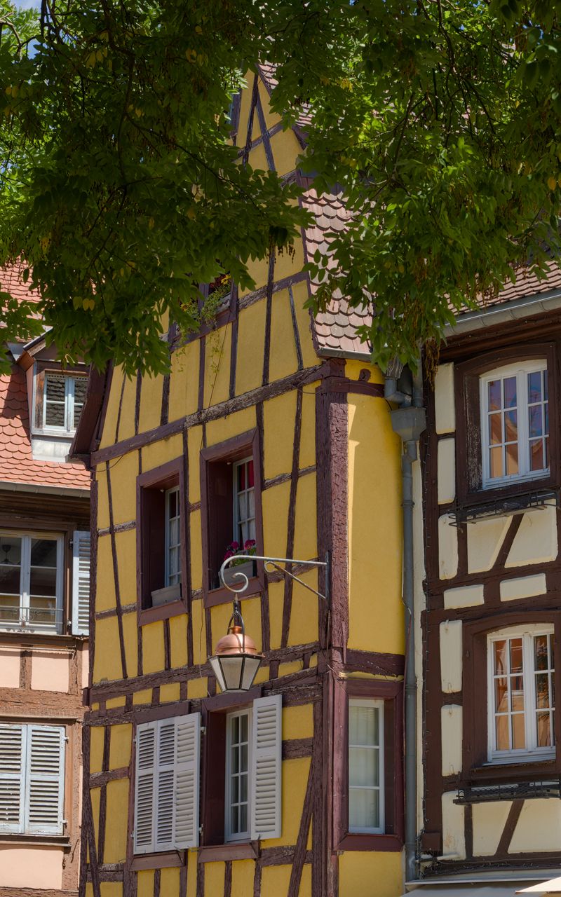 800x1280 Wallpaper buildings, lantern, street, trees, city, architecture