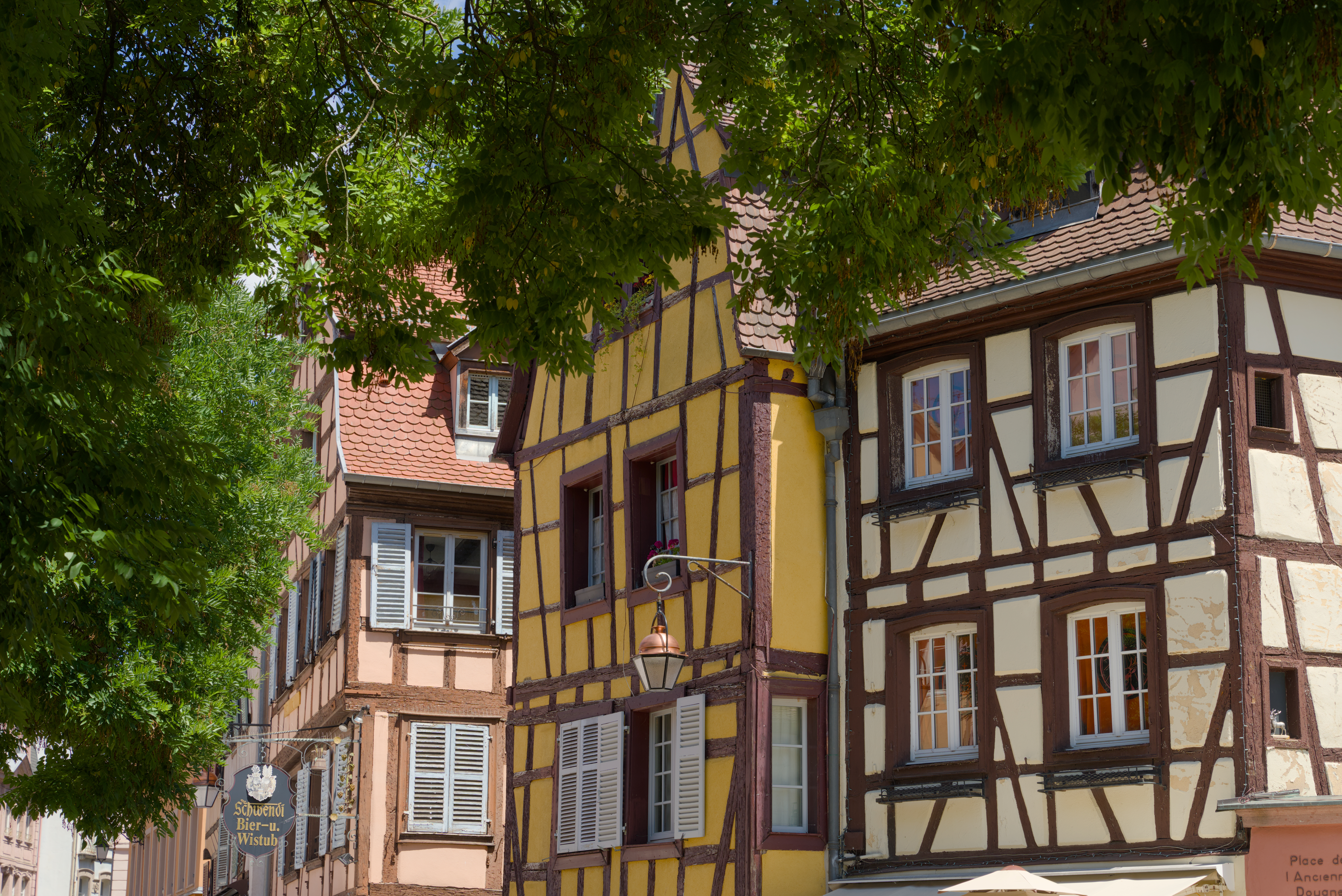 8664x5784 Wallpaper buildings, lantern, street, trees, city, architecture