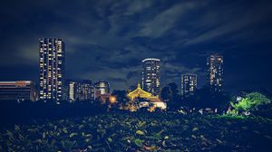 Preview wallpaper buildings, lights, night, leaves