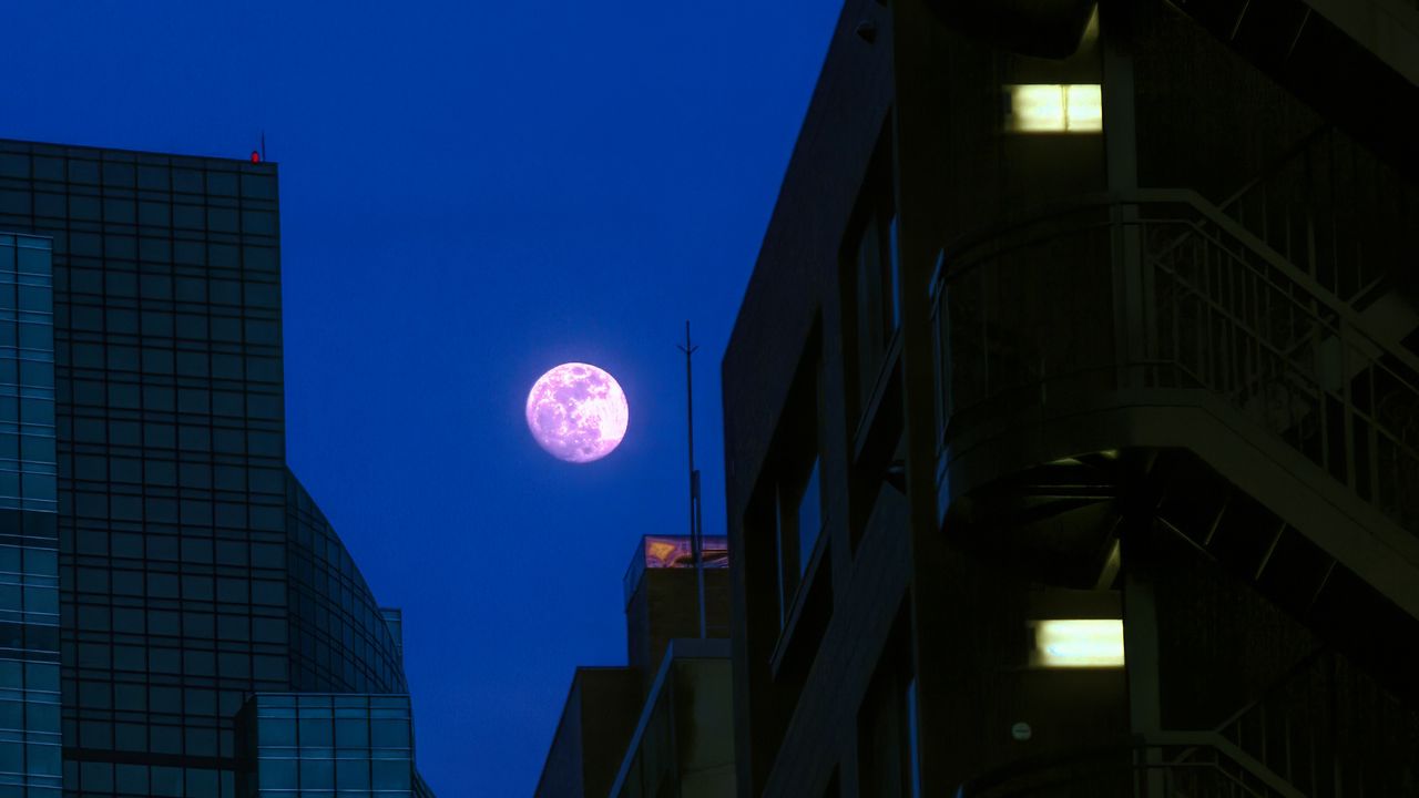 Wallpaper buildings, moon, night, dark