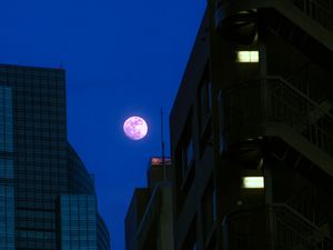 Preview wallpaper buildings, moon, night, dark