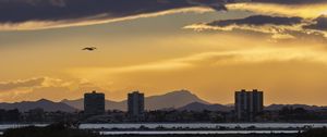 Preview wallpaper buildings, mountains, twilight, bird, dark