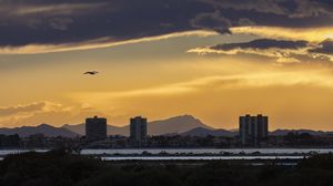 Preview wallpaper buildings, mountains, twilight, bird, dark