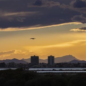 Preview wallpaper buildings, mountains, twilight, bird, dark