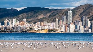 Preview wallpaper buildings, sea, coast, seagulls, mountains, city