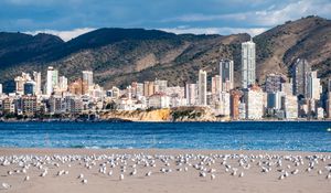 Preview wallpaper buildings, sea, coast, seagulls, mountains, city