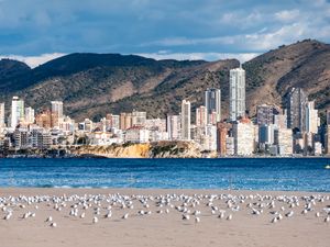 Preview wallpaper buildings, sea, coast, seagulls, mountains, city