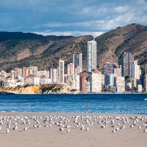 Preview wallpaper buildings, sea, coast, seagulls, mountains, city