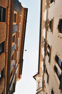 Preview wallpaper buildings, sky, bird, facades, architecture
