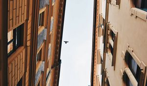 Preview wallpaper buildings, sky, bird, facades, architecture