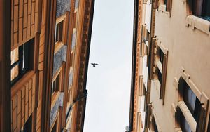 Preview wallpaper buildings, sky, bird, facades, architecture