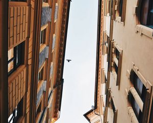 Preview wallpaper buildings, sky, bird, facades, architecture