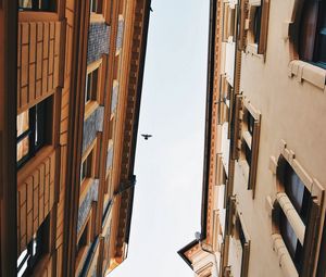 Preview wallpaper buildings, sky, bird, facades, architecture