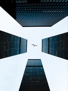 Preview wallpaper buildings, sky, bird, towers, skyscrapers, architecture