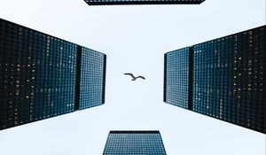 Preview wallpaper buildings, sky, bird, towers, skyscrapers, architecture