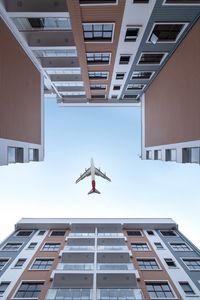 Preview wallpaper buildings, sky, plane, bottom view, architecture