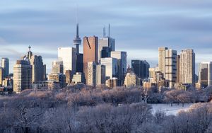 Preview wallpaper buildings, skyscrapers, architecture, trees, winter, city