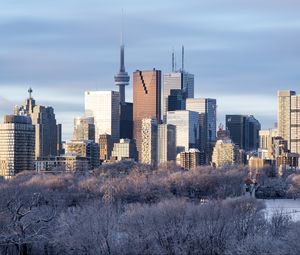 Preview wallpaper buildings, skyscrapers, architecture, trees, winter, city