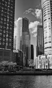 Preview wallpaper buildings, trees, city, black and white